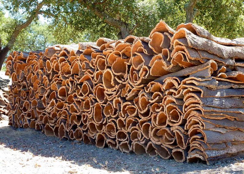 Cork leather