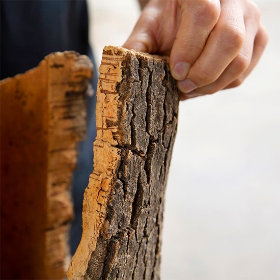 Ancient cork use